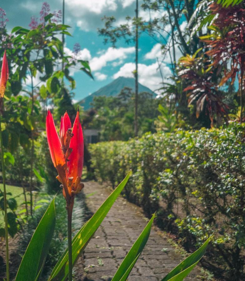 Arenal Backpackers Resort La Fortuna Buitenkant foto