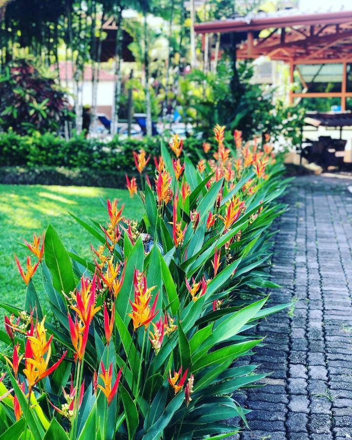 Arenal Backpackers Resort La Fortuna Buitenkant foto